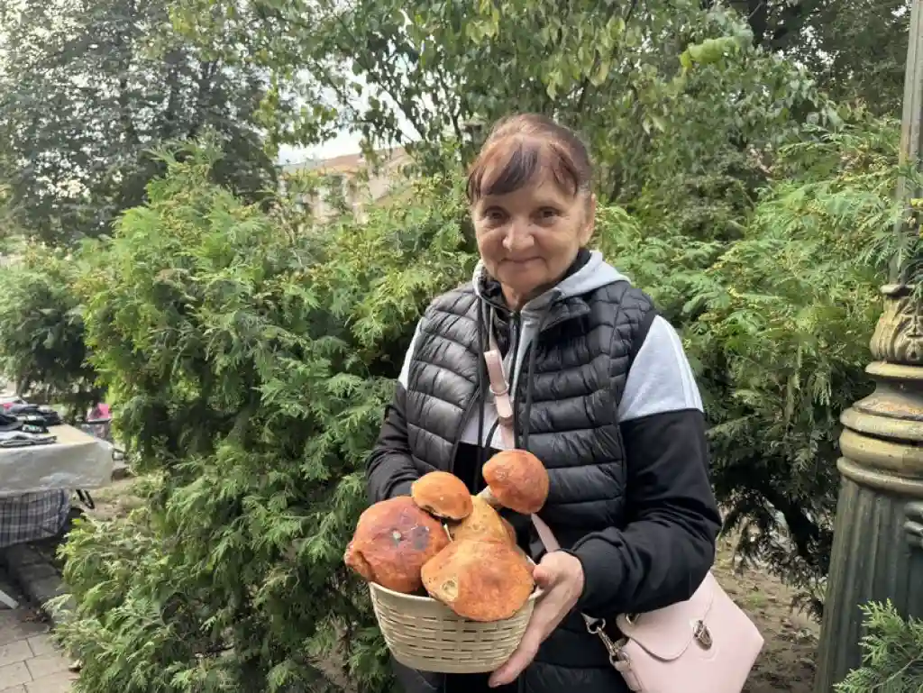 В Ужгороді на ринку продають гриби по 100–350 гривень за кілограм