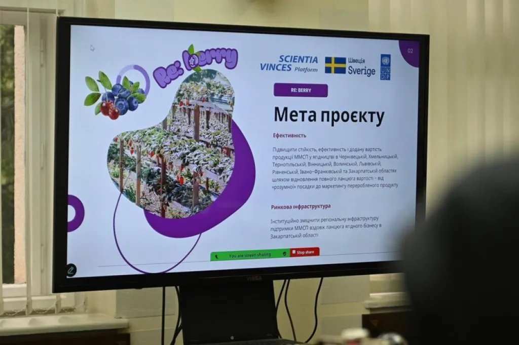 Закарпаття долучилося до проєкту ПРООН «RE:BERRY» для розвитку ягідництва