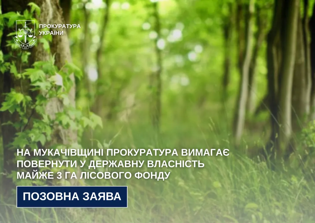 Прокуратура Мукачевого через суд вимагає повернути державі майже 3 гектари лісових земель