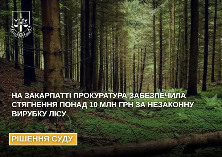 На Закарпатті стягнуть понад 10,3 млн грн з ДП «Ліси України» за незаконну вирубку