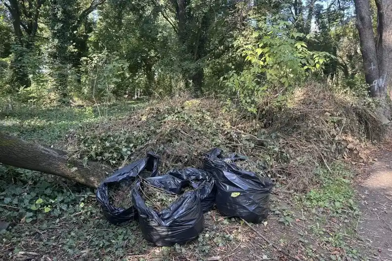 «Якщо втратимо це місце, Ужгород уже не буде тим самим» — містяни щотижня виходять на толоки, щоб урятувати кладовище на Капушанській