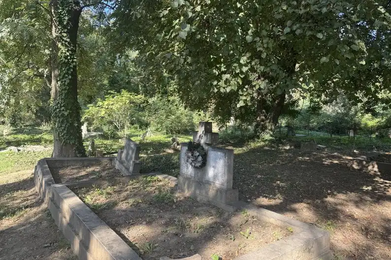 «Якщо втратимо це місце, Ужгород уже не буде тим самим» — містяни щотижня виходять на толоки, щоб урятувати кладовище на Капушанській