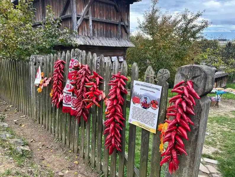 В Ужгороді відбулася акція «Жива спадщина»: громади Закарпаття презентували традиції, ремесла та народні звичаї