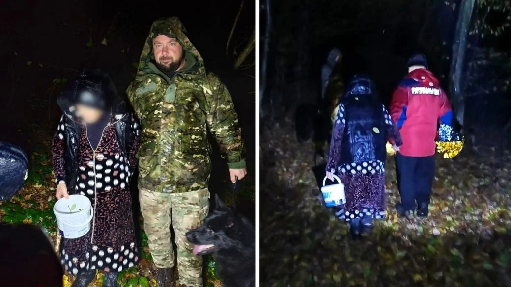 На Закарпатті знайшли 89-річну жінку, яка заблукала в лісі, збираючи гриби