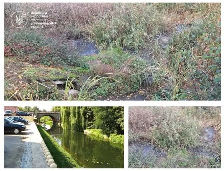 На Закарпатті розслідують забруднення річки Верке стічними водами