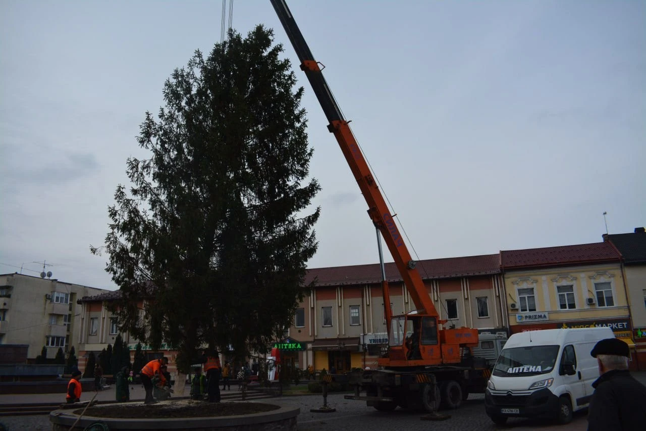 У Хусті встановлюють головну ялинку: місто готується до зимових свят