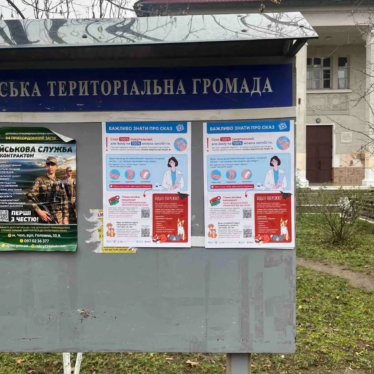 Чопська громада під контролем: профілактика сказу серед тварин