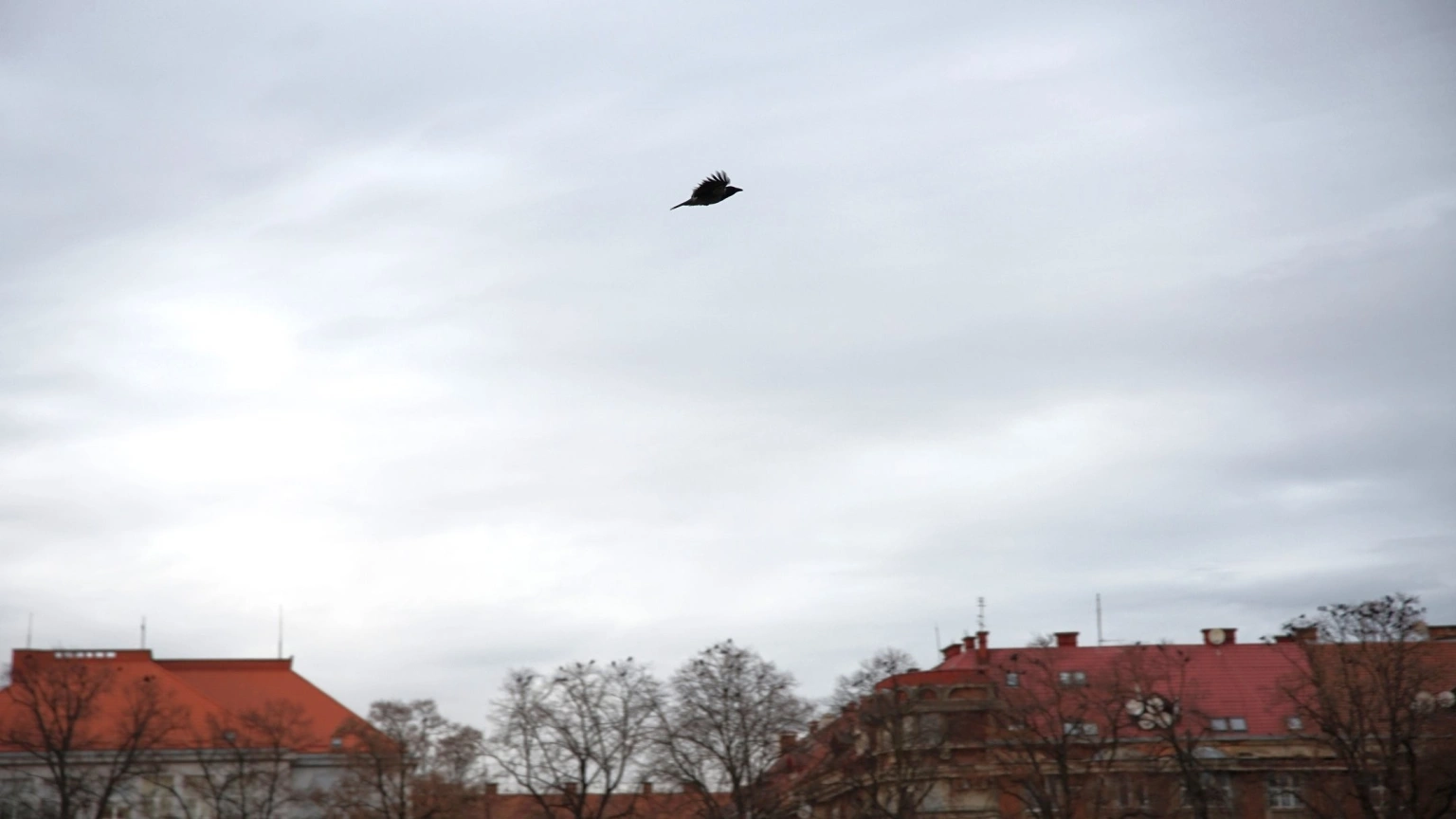 Морозне Різдво на Закарпатті: синоптики прогнозують туман та ожеледицю