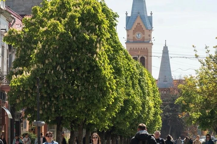 Мукачево зустрічає сезон цвітіння біло-рожевих каштанів