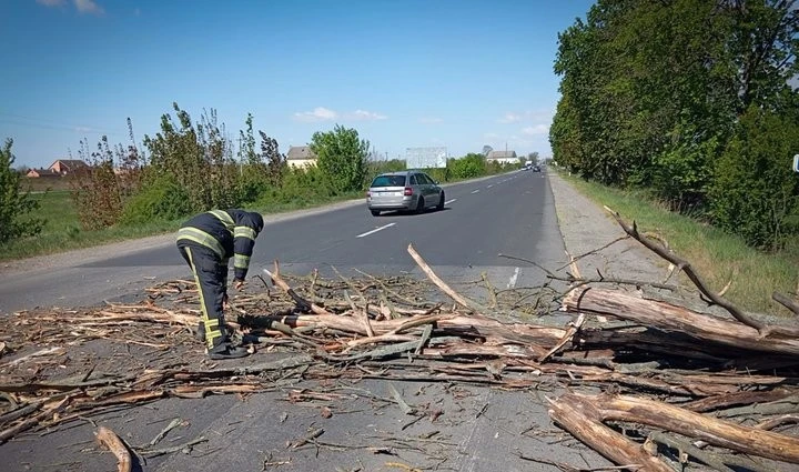 Смертельні наслідки буревію на Закарпатті: загибель людини та руйнування інфраструктури