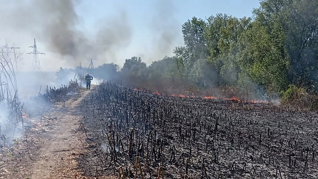 Закарпаття у вогні: за одну добу рятувальники ліквідували одинадцять масштабних загорянь