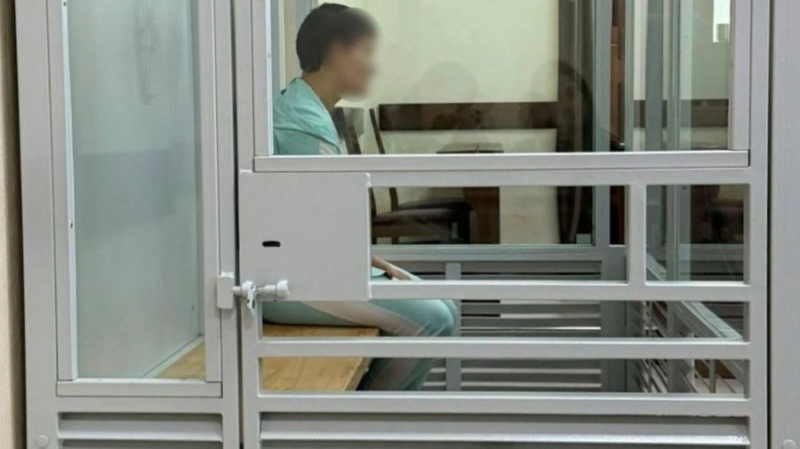 Торгівля власними дітьми задля милостині: суд Закарпаття оголосив вирок матері