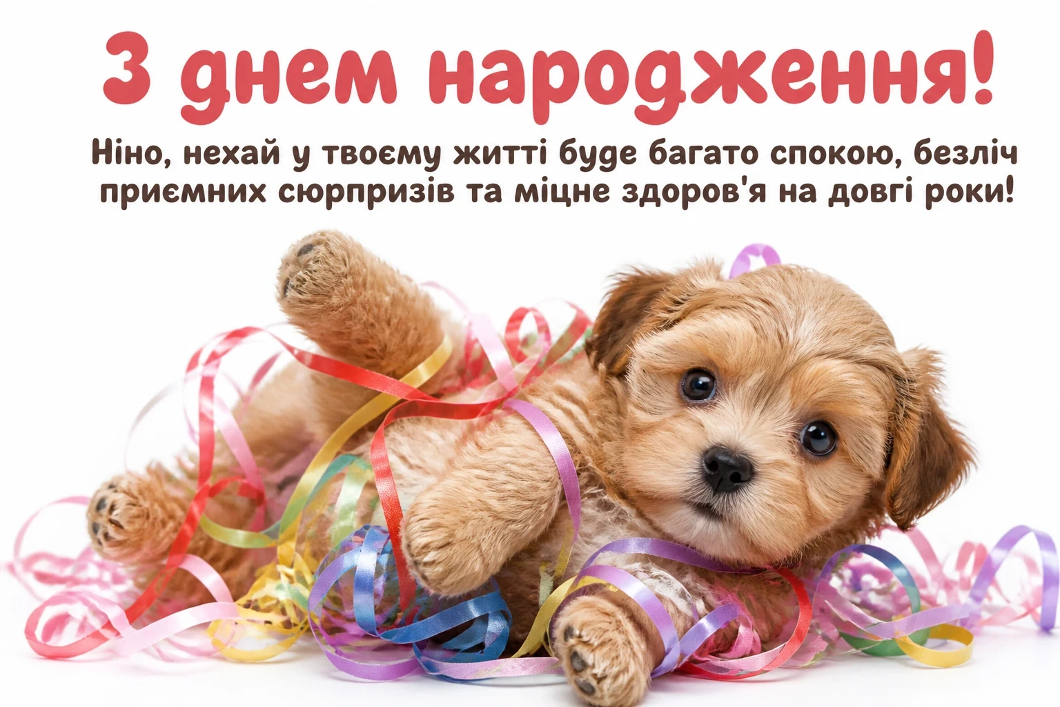 з днем народження ніна
