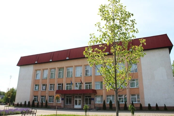 Ботанічна сенсація на Хустщині: в Іршаві вперше зацвів екзотичний ліріодендрон